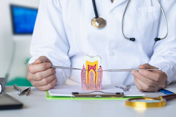 Best Emergency Wisdom Teeth Removal in Lockport, NY